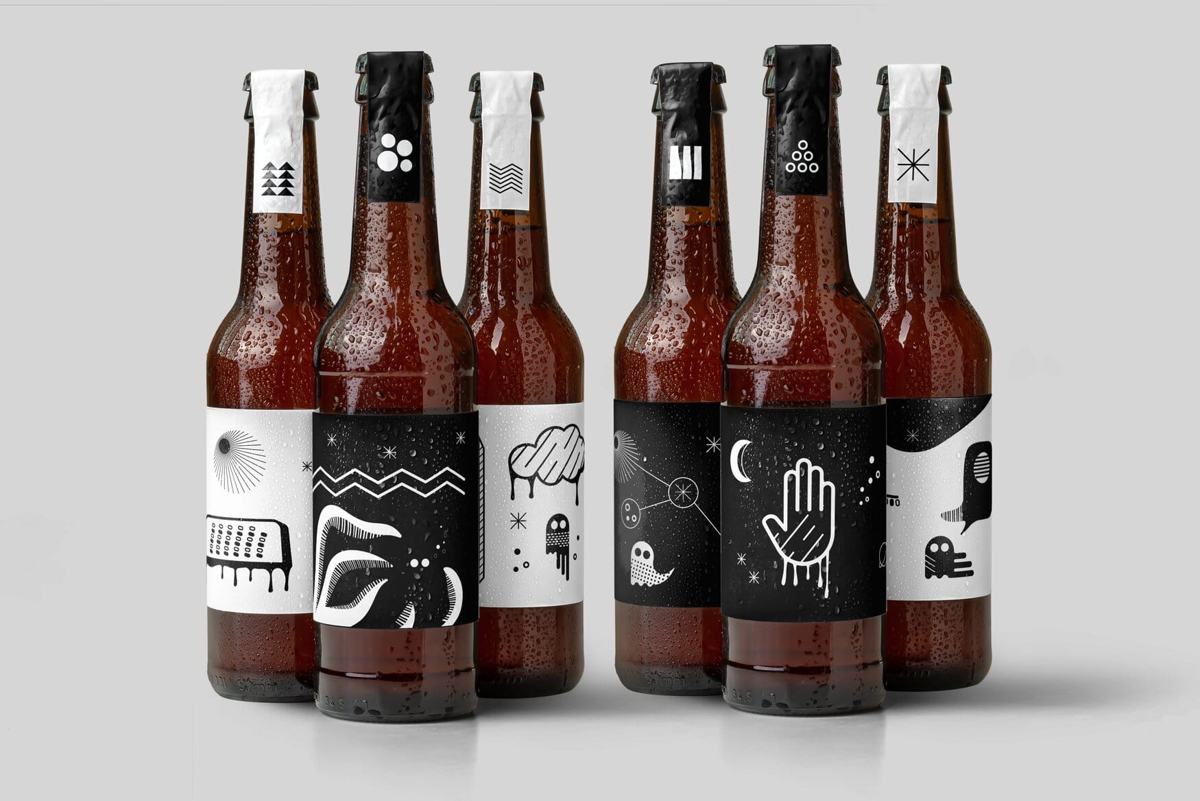 Fantombryg - Probierbox mit Bio-Craft-Bieren